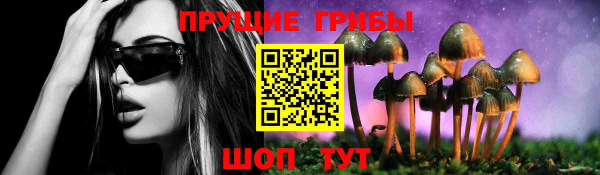 Псилоцибиновые грибы мицелий  Вход с VPN  Туймазы  Галлюциногенные грибы мицелий 
